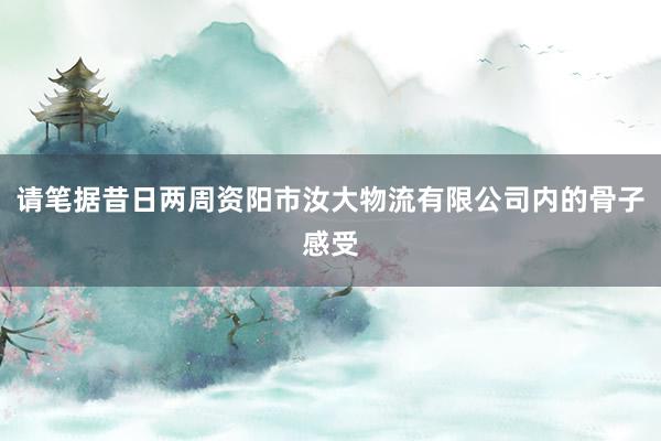 请笔据昔日两周资阳市汝大物流有限公司内的骨子感受