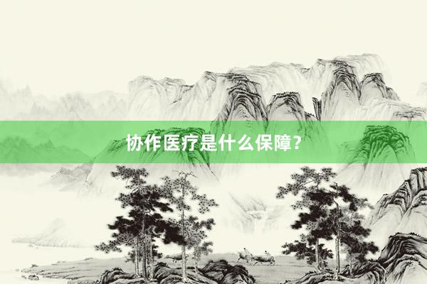 协作医疗是什么保障？